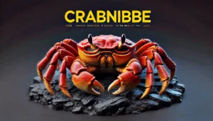 Crabnibbie